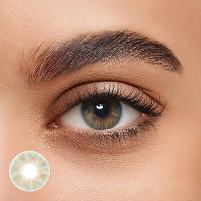 Contact Lenses