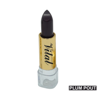 Long Lasting Lipstick