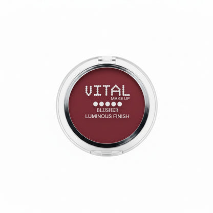 Blusher 02 Rum Plum Luminous Finish