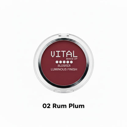 Blusher 02 Rum Plum Luminous Finish