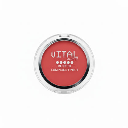 Blusher 04 Rouge Luminous Finish