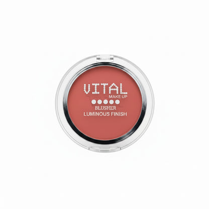 Blusher 05 Pale Pal Luminous Finish
