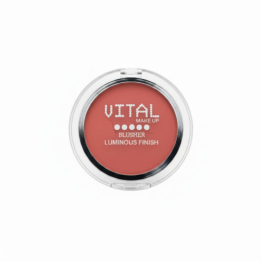 Blusher 05 Pale Pal Luminous Finish