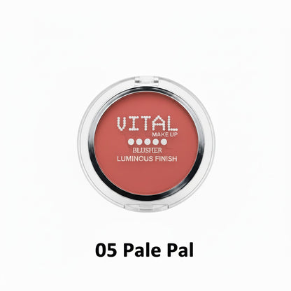 Blusher 05 Pale Pal Luminous Finish