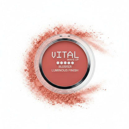 Blusher 05 Pale Pal Luminous Finish
