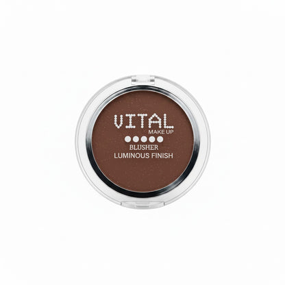 Blusher 06 Brick Red Luminous Finish