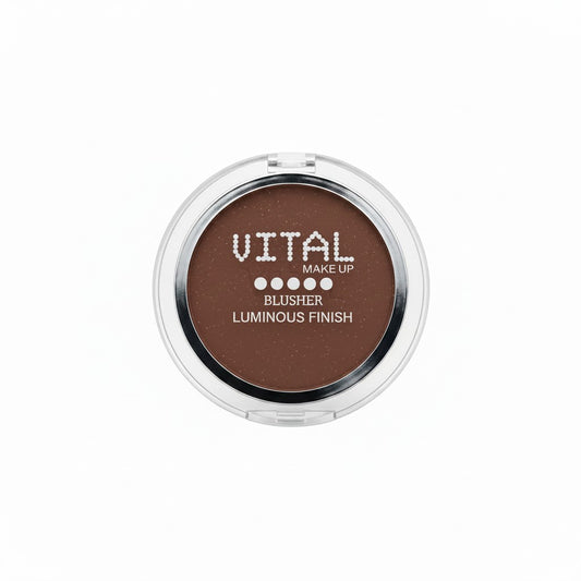 Blusher 06 Brick Red Luminous Finish