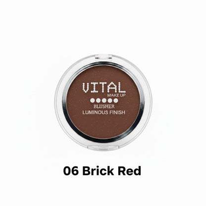 Blusher 06 Brick Red Luminous Finish