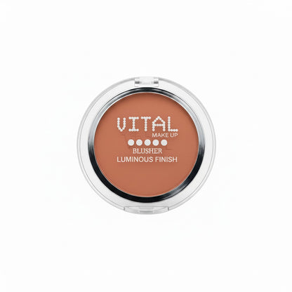 Blusher 09 Dusky Desert Luminous Finish